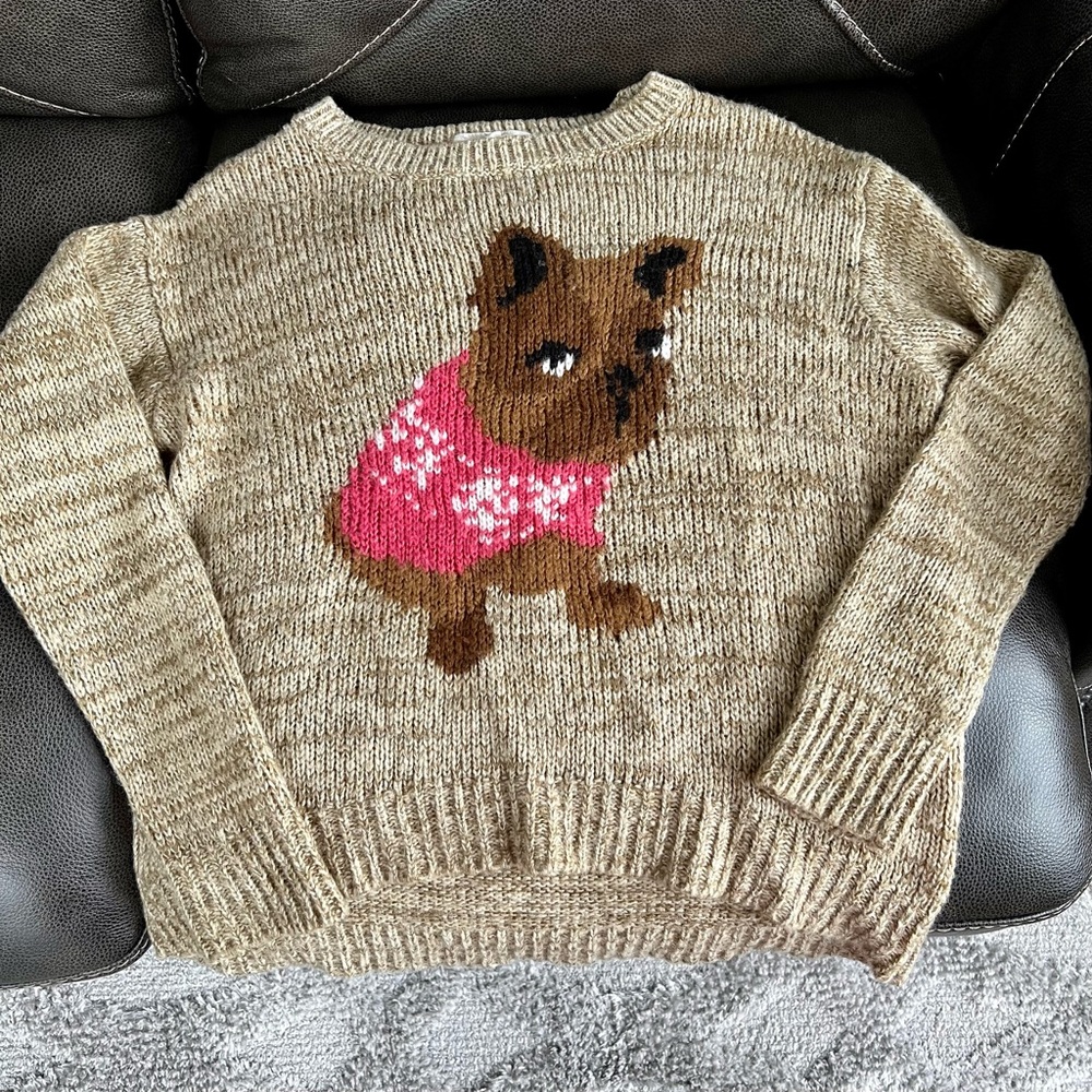 Frenchie Dog Sweater! Rewind Medium VGUC